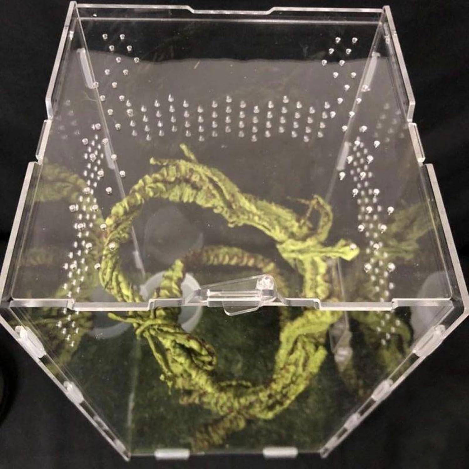 Reptiles Feeding Box Breeding Case Acrylic Terrariums Clear Habitat for Lizards Pet Centipedes Reptiles Terrariums