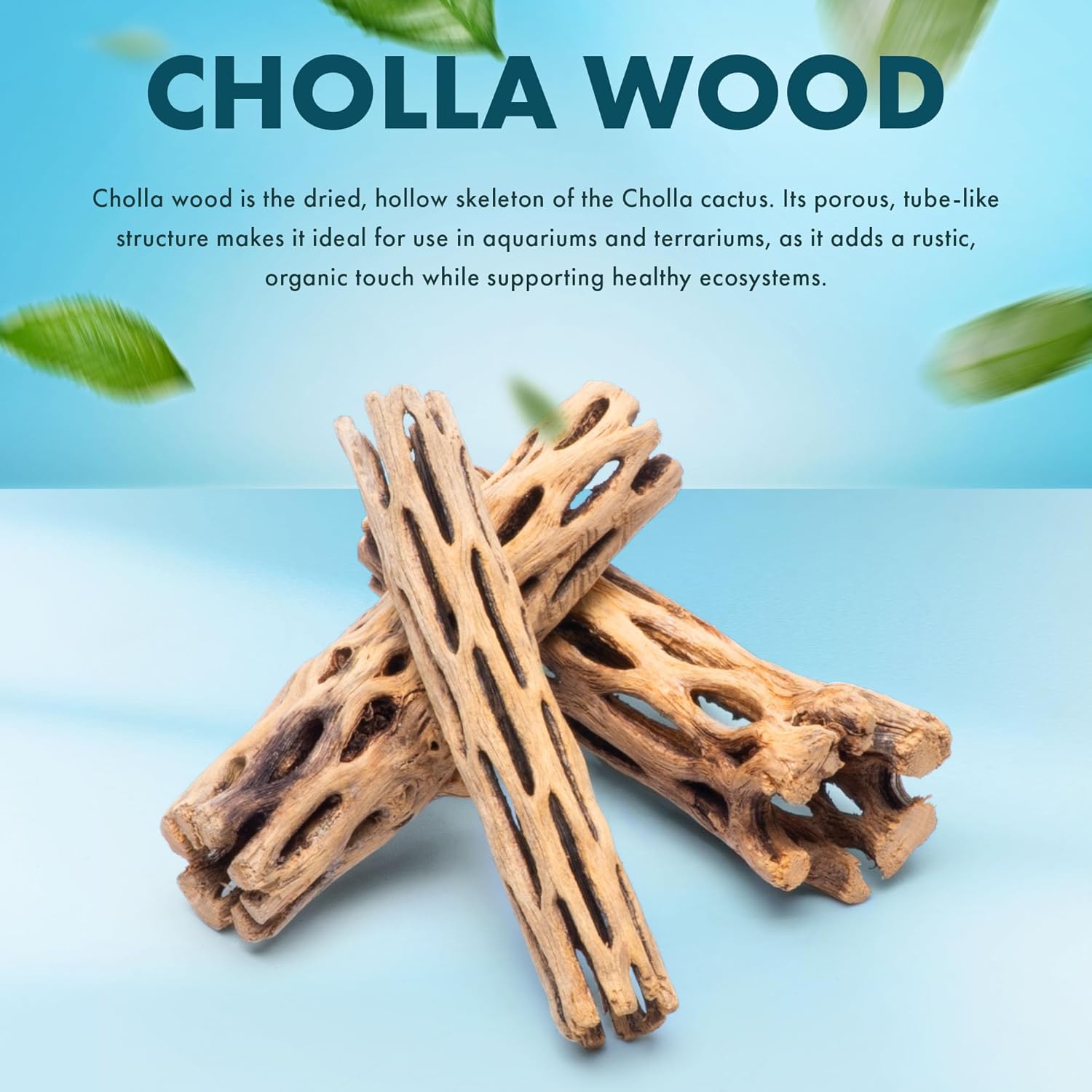 SubstrateSource Natural Cholla Wood - Driftwood for Aquariums, Air Plant Base, Hermit Crab and Freshwater Shrimp Hideout, Fish Tank Decoration, Chinchilla Chews, Reptile Habitat Wood - 6 Inch, 2pc