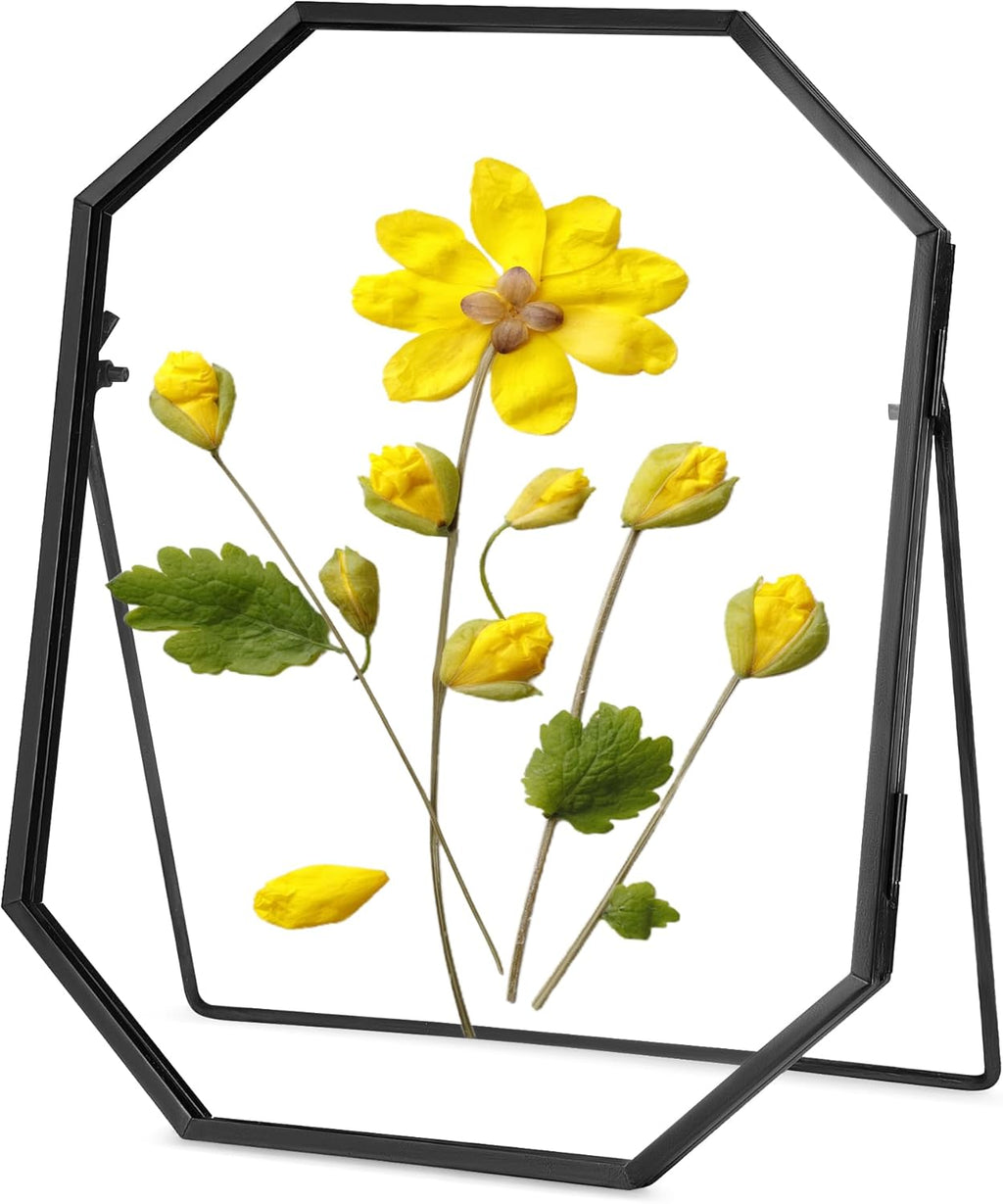 Glass Pressed Flower Frame Handmade, Octagon, 6x8 inches, Black