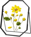 Glass Pressed Flower Frame Handmade, Octagon, 6x8 inches, Black