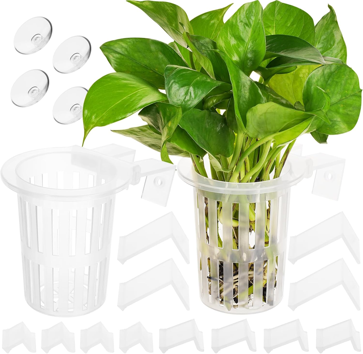 2025 New Upgraded Large Aquarium Plant Holder with 1.57-inch Extension Hooks and Suction Cups for Fish Tank Aquaponic Plant Cultivation and Aquascape Accessories Decorations (2 PCS) Transparent