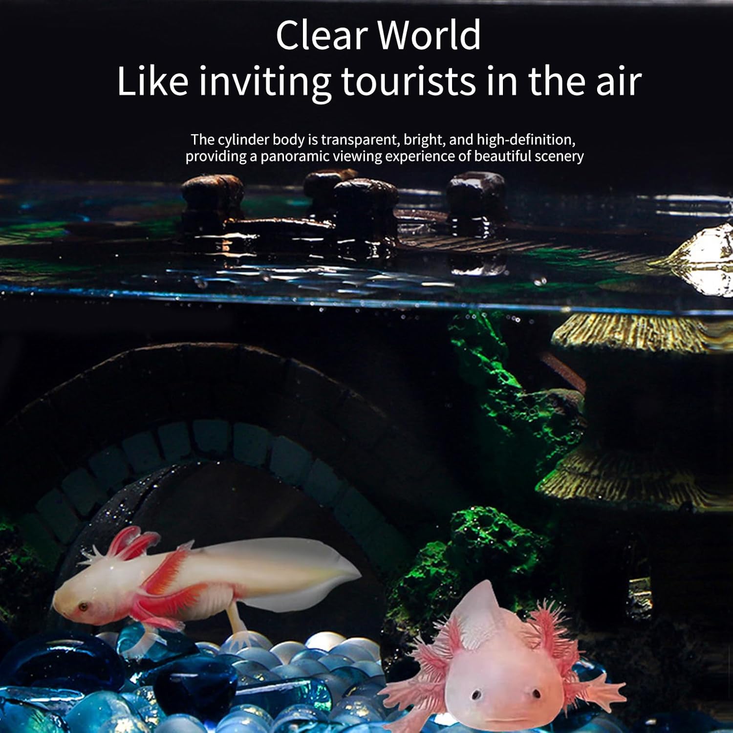 Clear Fish Tanks Axolotls Bowl for Desktops Clear Display Versatile Acrylic Tanks for Axolotls Newts Acrylic Aquarium