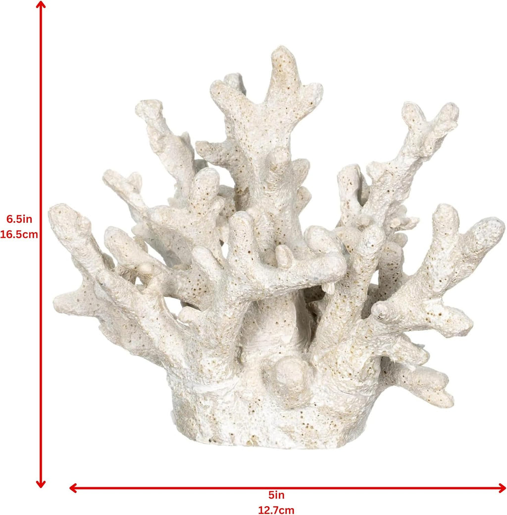 White Coral Decor - Coral Reef Decor (6.5inx5inx5.5in) - Faux Resin Decoration - Nautical Decorations - Beach Home Decor