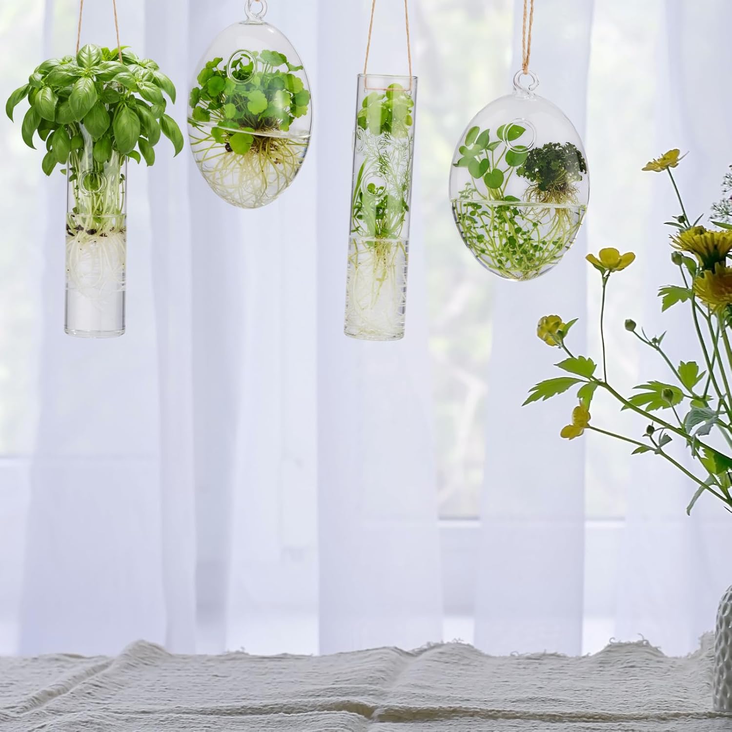 Zopeal 6 Sets Wall Hanging Glass Planter Greenhouse Terrarium Propagation Station Wall Vase Container Watering Squeeze Bottle with Rope and Hook for Hydroponic Plants Flower Home Decor (Elegant Style)