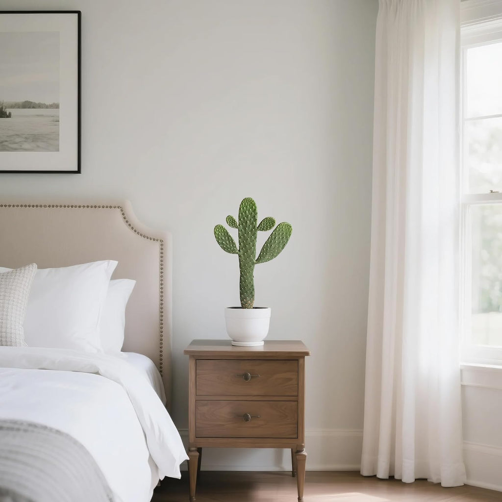 Artificial Cactus Potted Plant Faux Cacti 19 Inch Cactus Plant with Black Planter for Home Garden Office Decor Indoor Outdoor