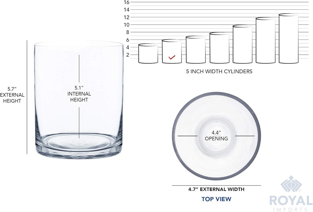 Royal Imports Flower Glass Vase Decorative Centerpiece for Home or Wedding - Cylinder Shape (5" Wide x 6" Tall, Clear)