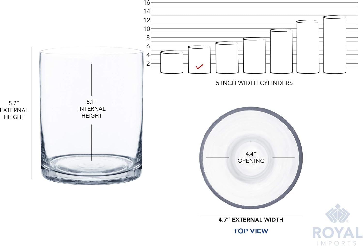 Royal Imports Flower Glass Vase Decorative Centerpiece for Home or Wedding - Cylinder Shape (5" Wide x 6" Tall, Clear)