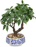 Artificial Bonsai Tree, Small Ficus Bonsai Trees 13" Indoor Bonsais Tree Fake Potted Plant Decorative Fake Desk Plant Decor with Ceramic Pot for Home Office Living Room Bedroom Bathroom Table Shelf
