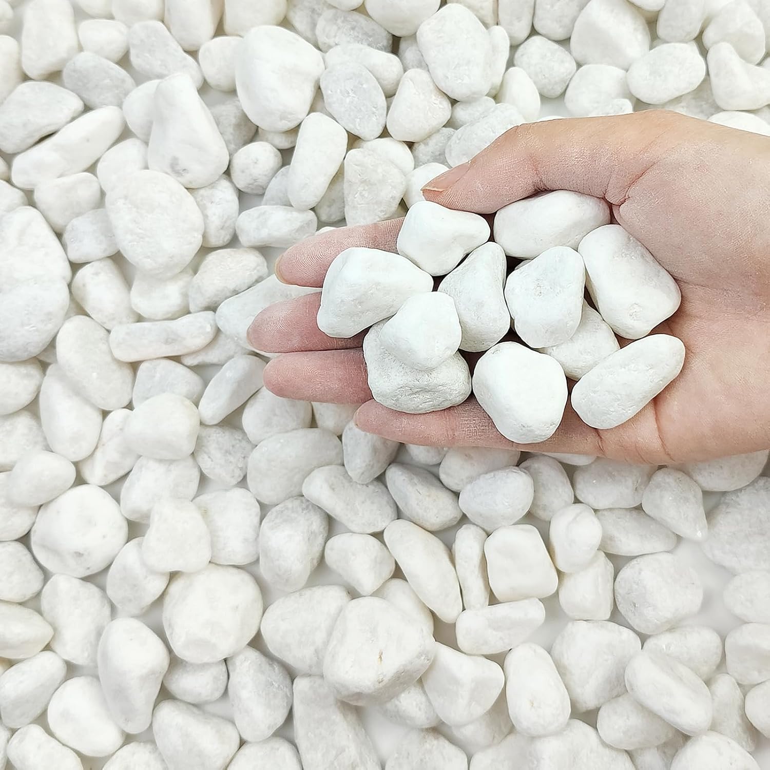10 lbs White River Rocks for Garden, 0.5-1 Inch Pebbles for Indoor Plants, Decorative Stones for Landscaping, Succulent, Vases, Aquariums and Zen Garden