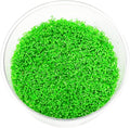 Mainam Dwarf Baby Tears Hemianthus Callitrichoides Tissue Culture US Nursery Live Aquarium Plants Decorations Freshwater Fish Tank Aquatic Plant3 Days Pond Tropical