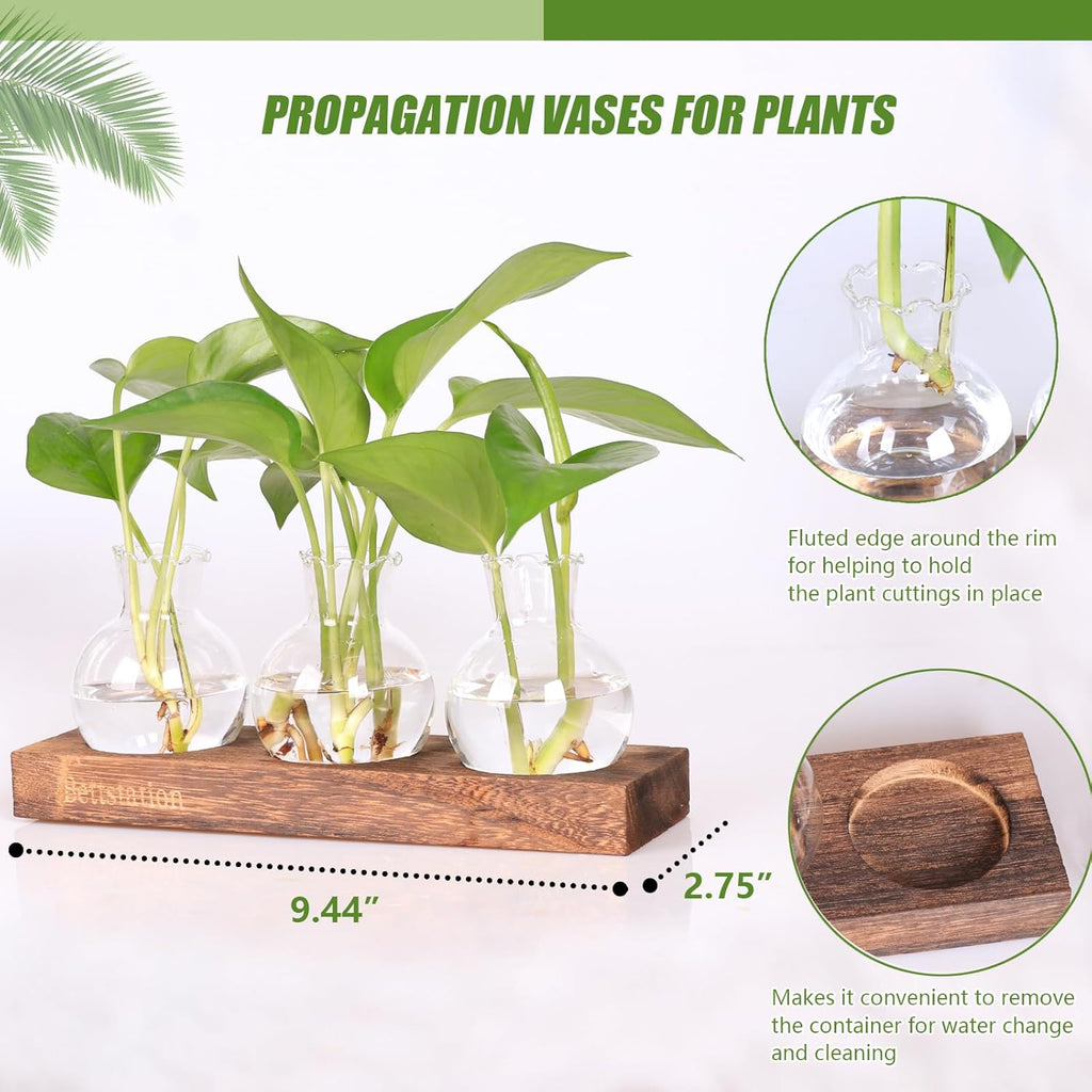 Plant Propagation Station, Plants Terrarium with Wooden Stand Bulb Glass Vase Planter Gift for Plant Lovers Home Office Decor