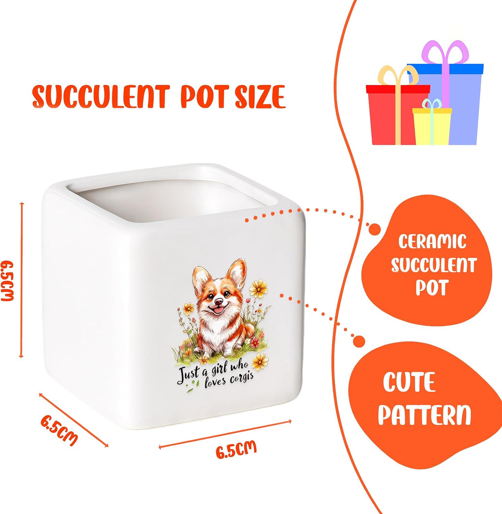 Corgi Succulent Planter Flower Plant Pot Small, Gifts for Women Teens Girls Kids, Corgi Lovers Themed Stuff Accessories Things Decor Merch, Home Office Table Desk Decoration!