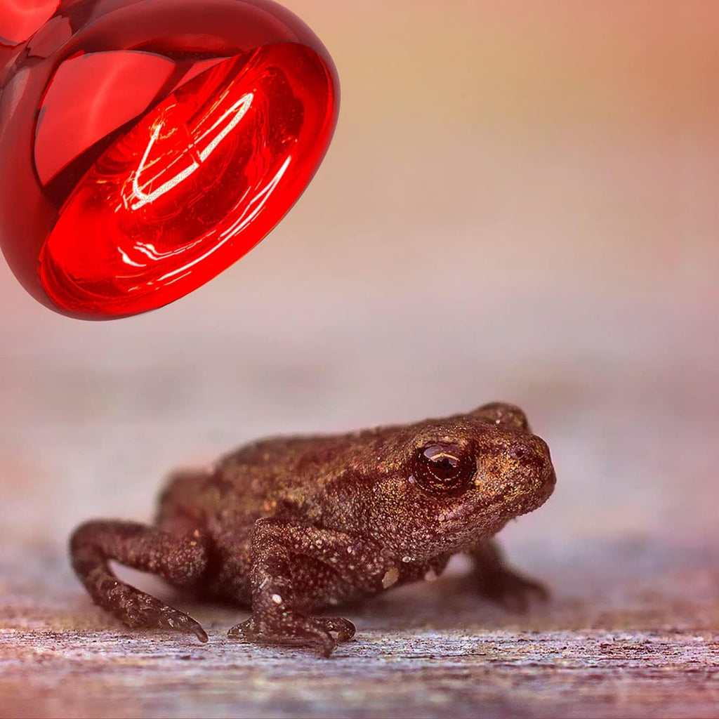 Aiicioo Reptile Red Night Light Bulb - 75W Reptile Heat Lamp Bulb Infrared Basking Spot Lamp for Bearded Dragon Lizard Turtle Hermit Crab Leopard Gecko Snake Chameleon Tank