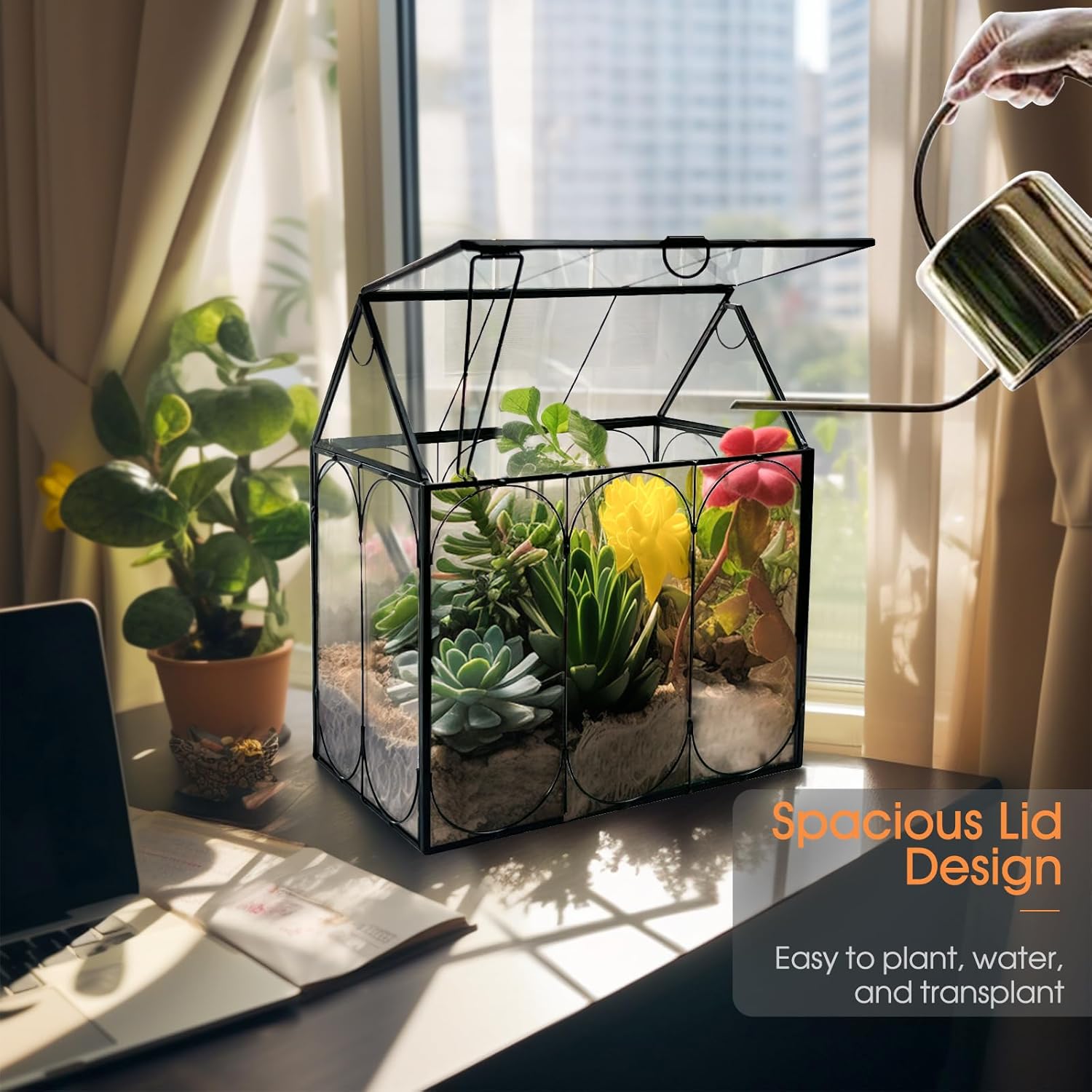 Plant Terrarium Kit, Rifny Large Glass Terrarium Jar with Absorbent Mat for Venus Fly Trap Succulent Live Air Plants Indoor Home Office Decor (Black, 8.9 x 5.9 x 9.9 inch, Without Plant Light)