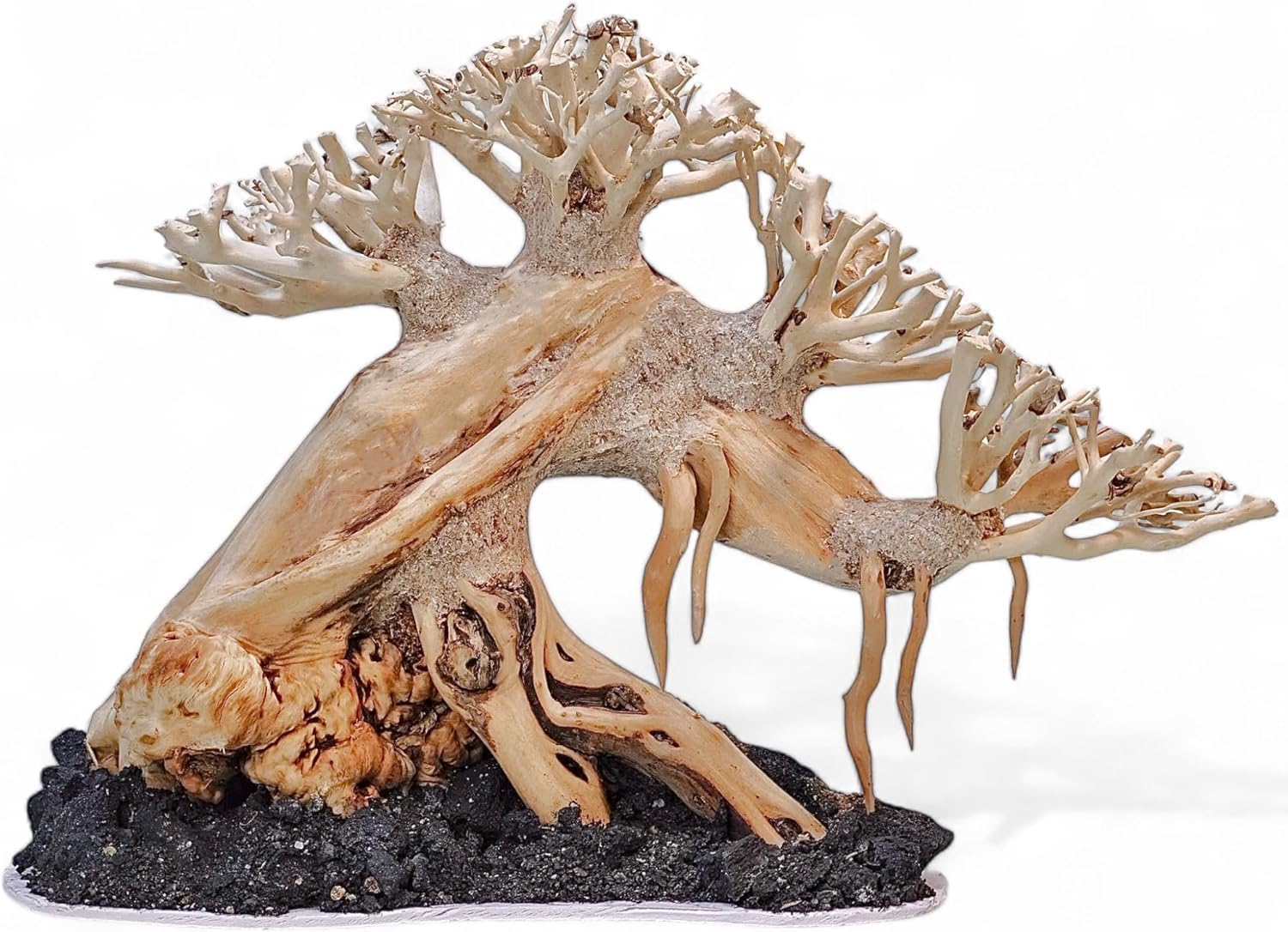 Azil Aquascape Bonsai Driftwood Tree 10” – Premium Natural Aquarium Decor for Fish Tanks, Freshwater Aquariums, Hardscape & Planted Tanks