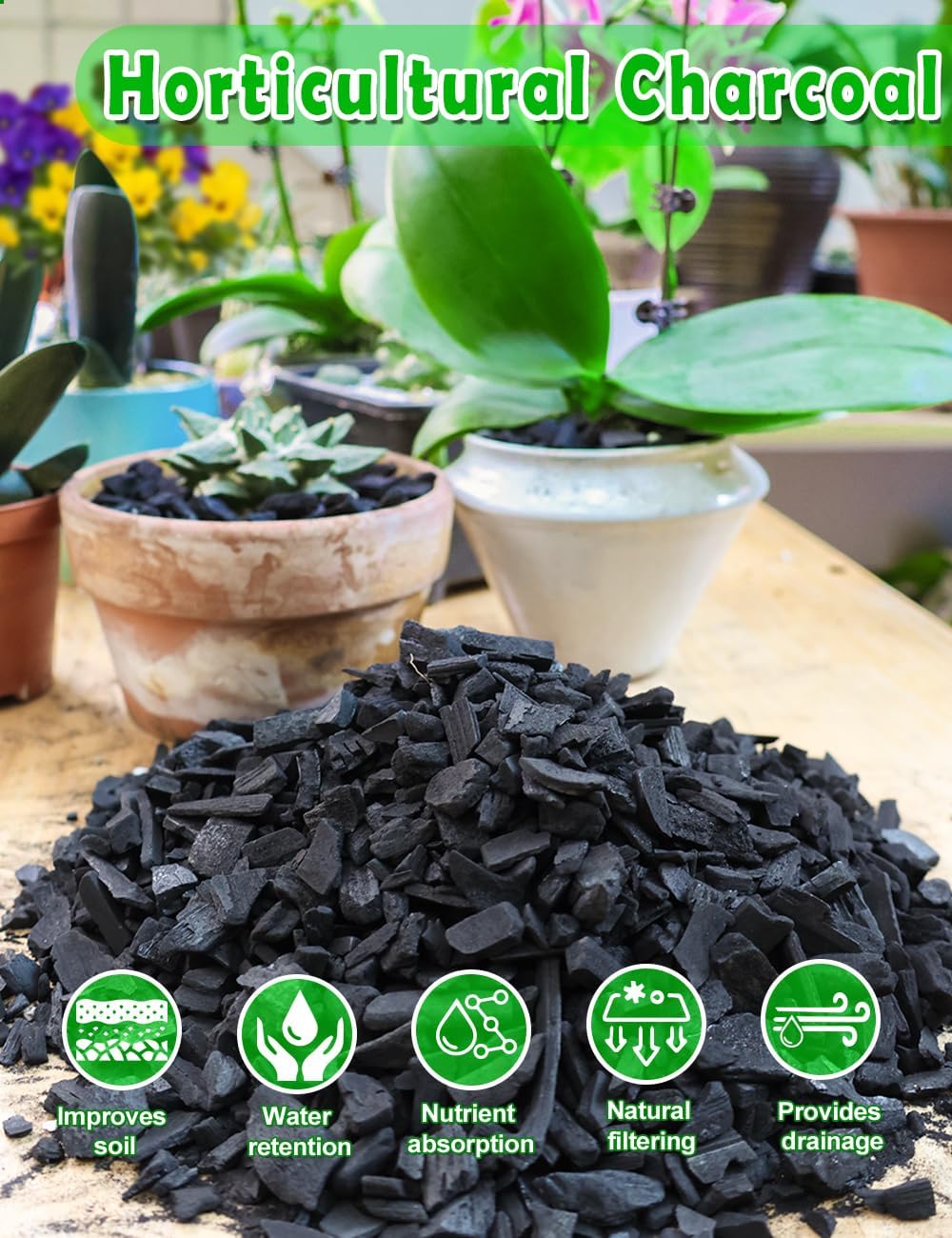 TOYPOPOR Horticultural Charcoal for Indoor Plants (3 Quarts) Hardwood Potting Soil Amendment Helps Improve Drainage for Orchids, Succulent, Cactus, Terrariums, and Gardening