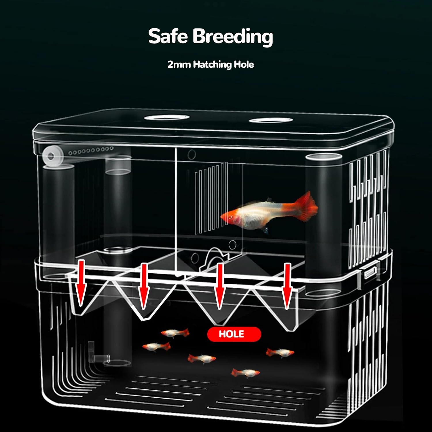 J-star Extra Large Fish Breeder Box for Aquarium Tank, Acrylic Breeding Box for Guppy/Betta/Shrimp/Clownfish, Baby Fish Hatchery & Isolation Tank