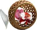 CTWPets Natural Betta Bulb Hide | Betta Rest Fish Tank Ornament | Aquarium Cave with Suction Cup for Small Fish Tank, Betta Habitat, Shrimp Hideout, Aquatic Decor (Light Brown)