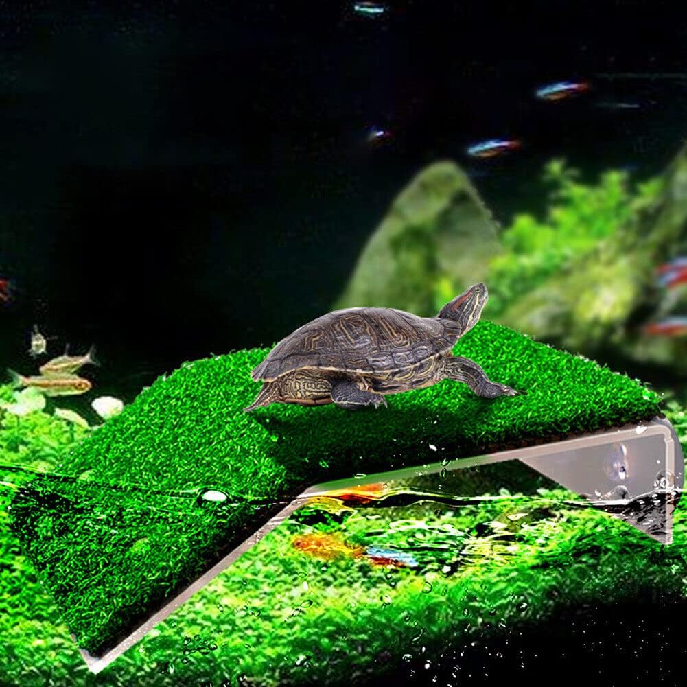 Turtle Basking Platform - Lawn Turtle Resting Platform & Ramp - Tortoise Habitat Accessory