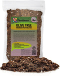 Gardenera Olive Tree Premium Potting Mix - Create a Mediterranean Paradise in Your Backyard - 4 Quart