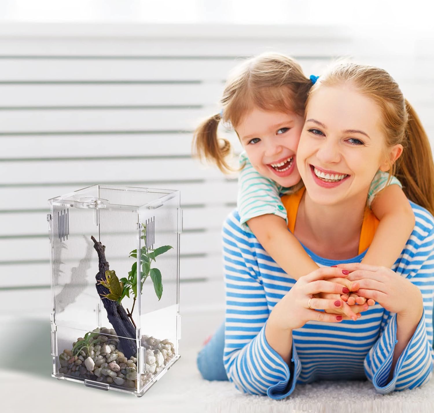 BETAZOOER Acrylic Mini Reptile Tank Habitat Transparent Terrariums with Locking Latch Suitable for Tarantula Isopod Roach Invertebrates (4''x4''x8'')
