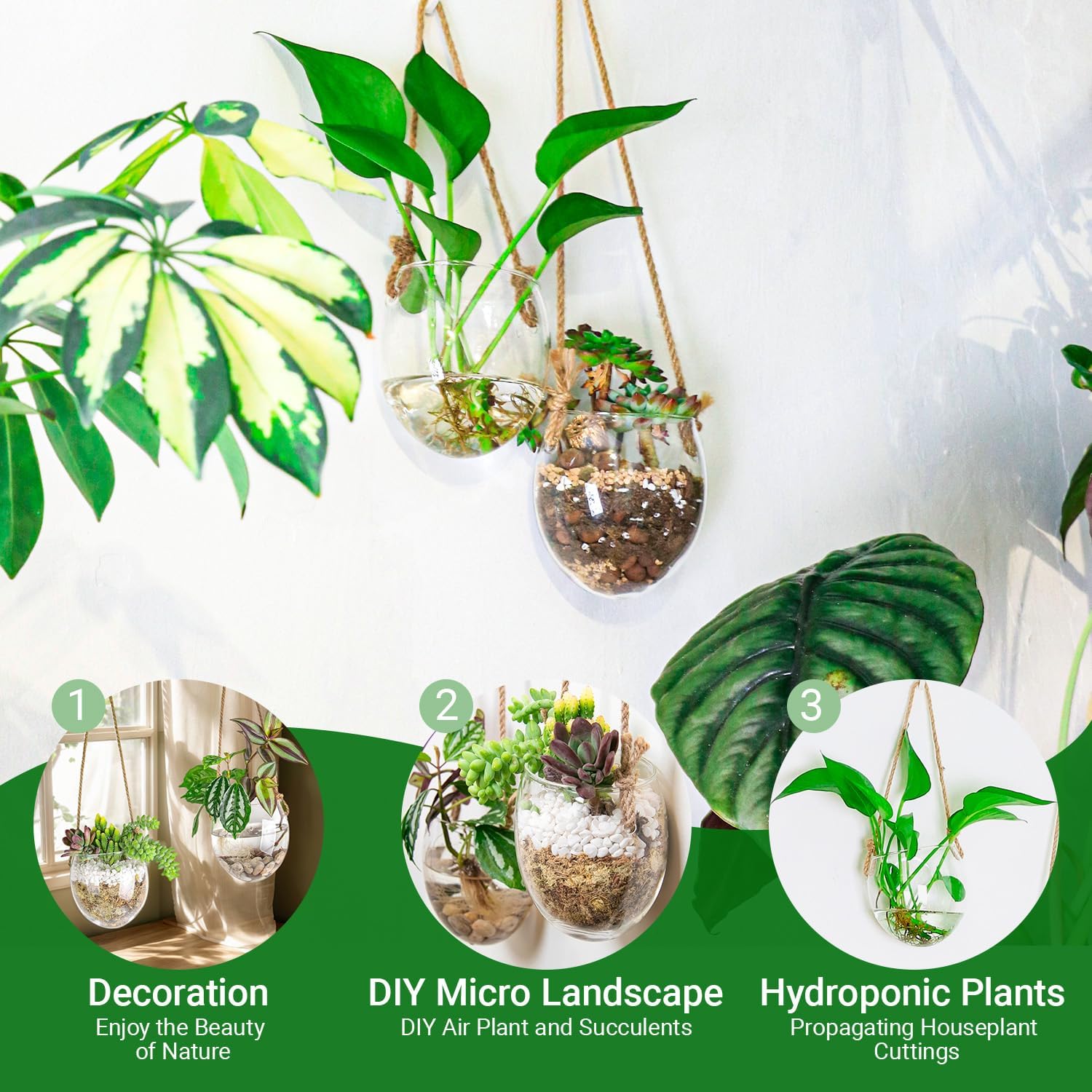 Propagation Station, Plants Terrarium, Plants Lover Gifts for Women,Plant Cutting Holder Home décor,Gifts for Women,House Warming New Home-2 Bowl Shape