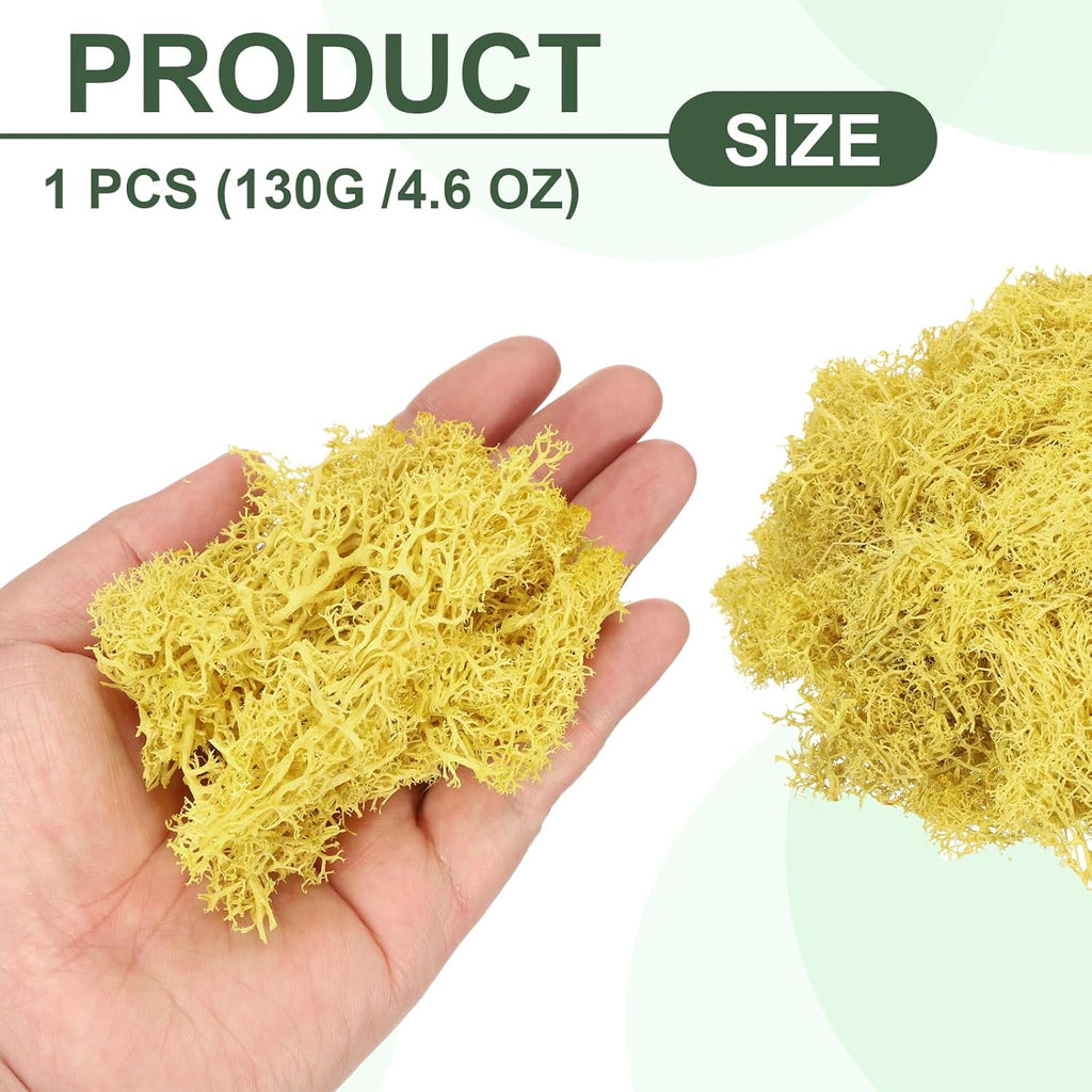 MECCANIXITY 4.6oz Preserved Reindeer Moss, Yellow Decorative Artificial Fake Moss for Potted Plants Indoor Crafts Lichen Centerpieces Decor