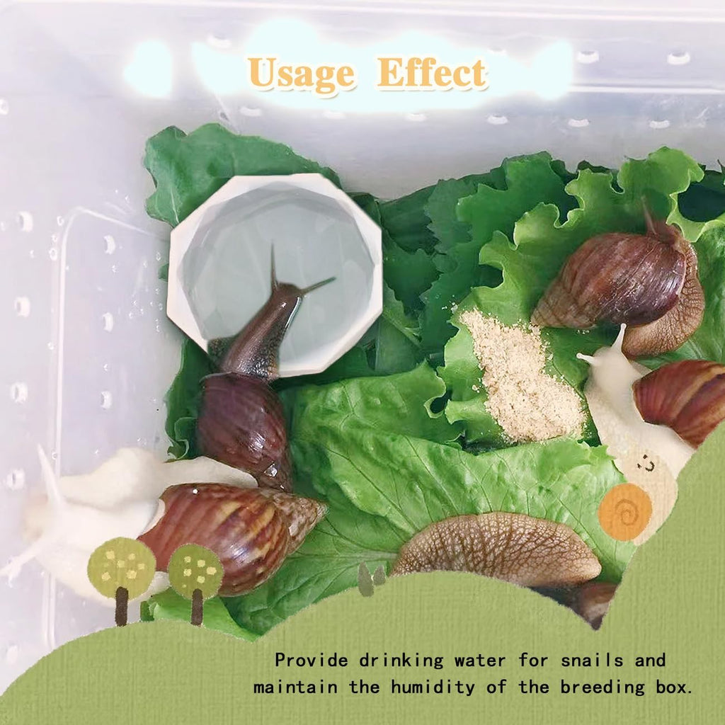 Transparent Snail Catcher for Aquarium & Habitat - 2 Pack Silicone Snail Water Dish, Calcium Feeder Bowl, Hideout & Toilet | Safe Pet Habitat Accessories (M)
