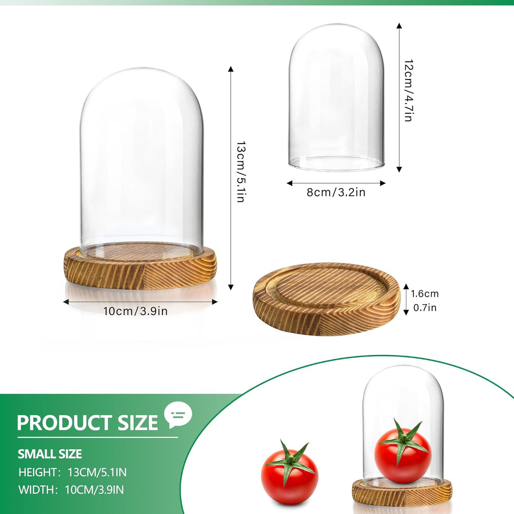 ZEERSHEE 4.1" x 3.2" Small Glass Display Cloche Dome with Solid Wood Base Empty for Plants Keepsakes Collectibles