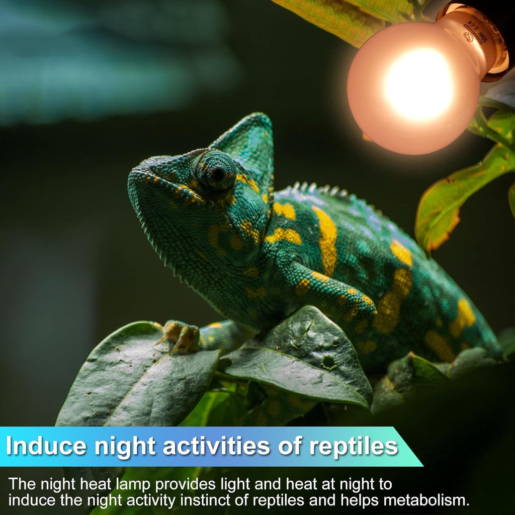 Reptile Heat Lamp 2 Pack 50W, Daylight Heat Bulb for Reptiles & Amphibians, Reptile Heat Light for Bearded Dragon, Lizard, Turtle