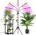 Grow Lights for Indoor Plants Full Spectrum with Stand and Timer, 5 Heads LED Plant Lights for Indoor Growing, Standing Floor House Plant Lamp for Seed Starting. (Red+Blue+White)
