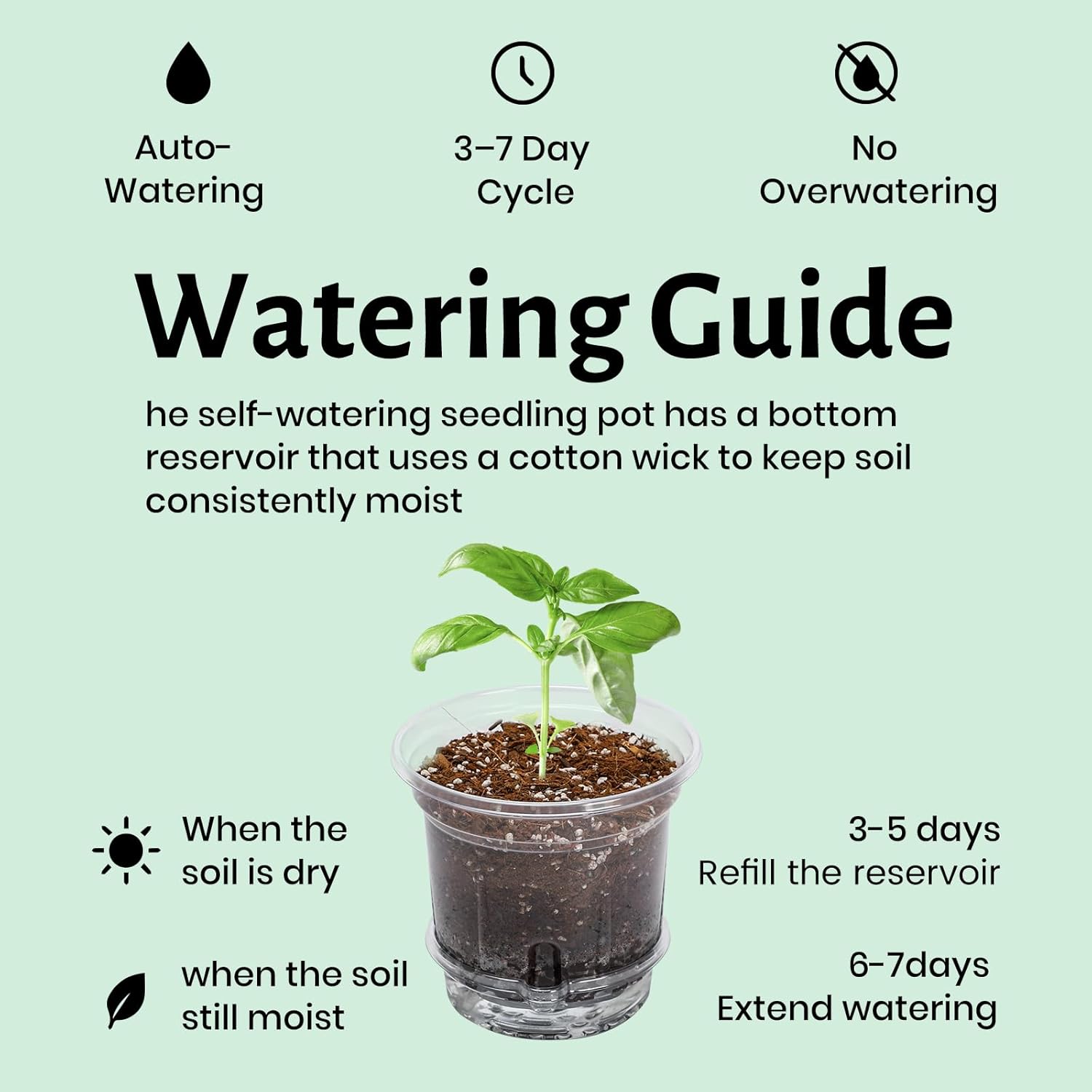 12 Pack 6.5 Inch Clear Self Watering Plant Pots with Bottom Water Tray & Watering Rope, Transparent Nursery Pots with Drainage for Seedlings, Herbs, and Houseplants