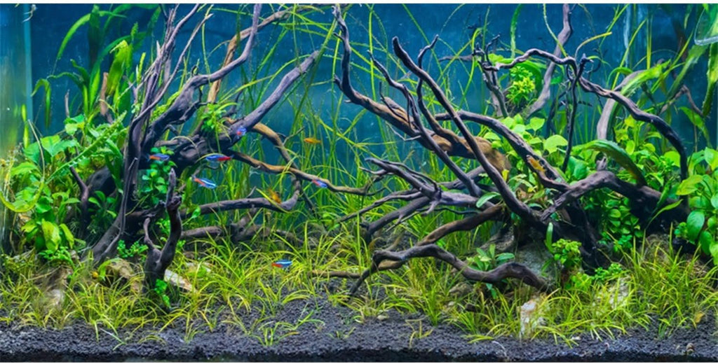 AWERT 30x18 inches Tropical Fish Tank Background River Bed & Lake Aquatic Plant Undersea Tree Branch Aquarium Background Vinyl