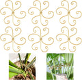 6pcs Plant Stem Support, Iron Monstera Plants Support, Plant Stem Holder Support Unique Design Bamboo Clamp Set for Outdoor & Indoor Growing Climbing Plants Stabilization and Supports