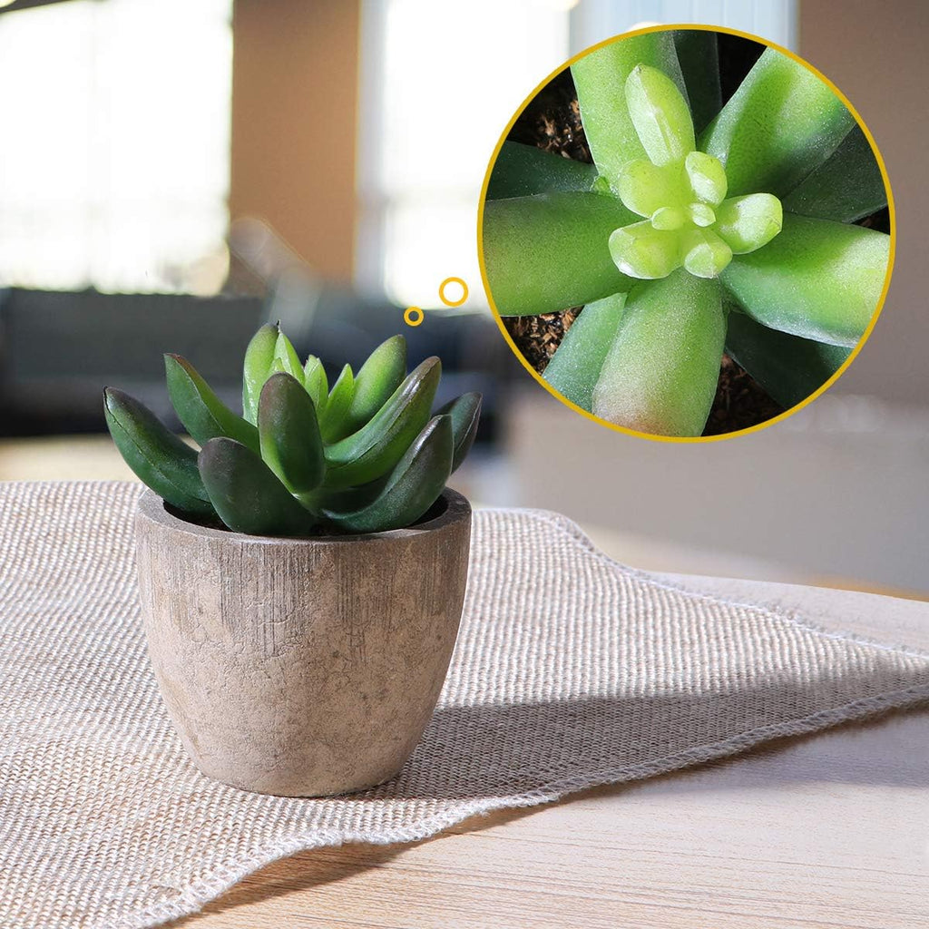 Ounona 3pcs Artificial Succulent Plants Set with Pots - Realistic Faux Mini Succulents for Home, Office, and Aesthetic Decor - Perfect for Desk, Living Room, and Bathroom