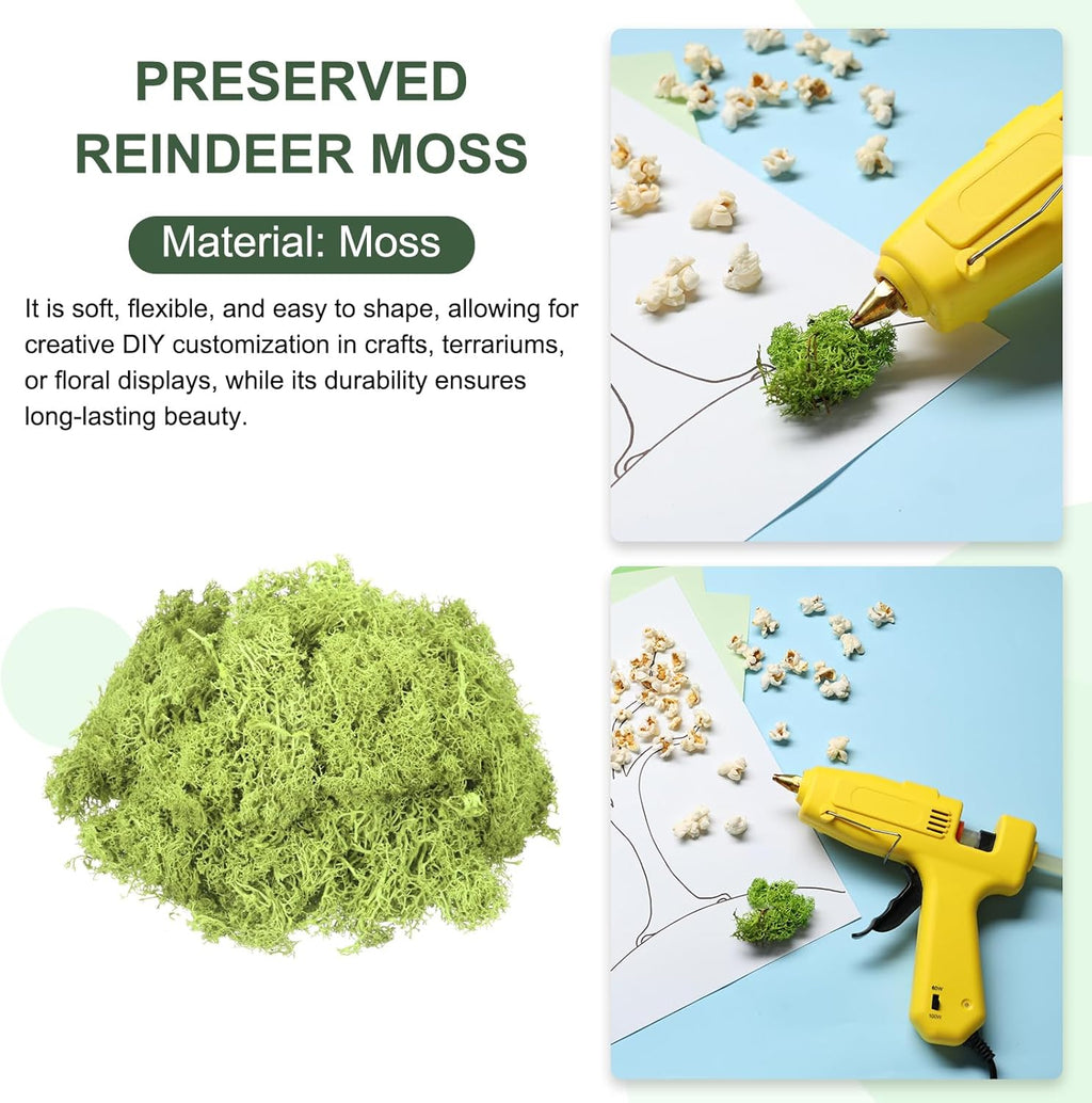 MECCANIXITY 3oz Preserved Reindeer Moss, Bright Green Decorative Artificial Fake Moss for Potted Plants Indoor Crafts Lichen Centerpieces Decor