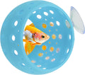 Betta Hideout Tunnel, Interactive Aquarium Decor, Aquarium Tunnel for Betta, Exciting Hiding Spot, Blue
