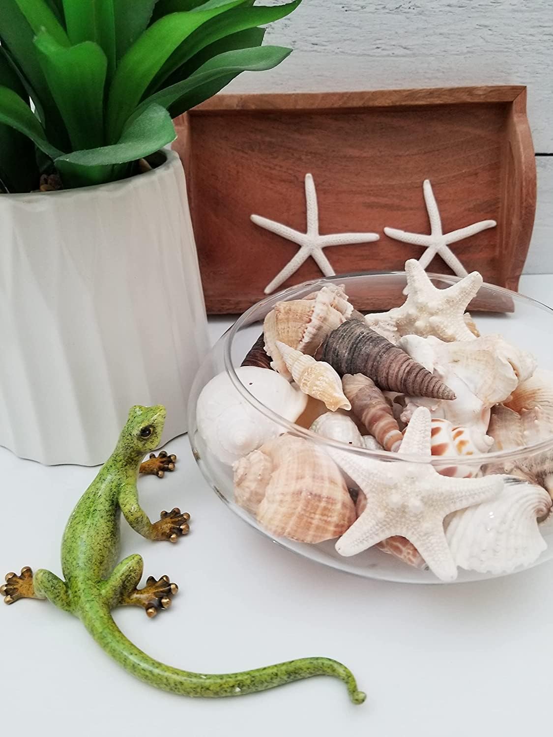 Medium Sized Shells in a Delightful Mix of Whites, Tans and Pinks | 2 Pounds | Perfect for Crafts, Beach Home Decor, Weddings, Vase Filler and Classrooms