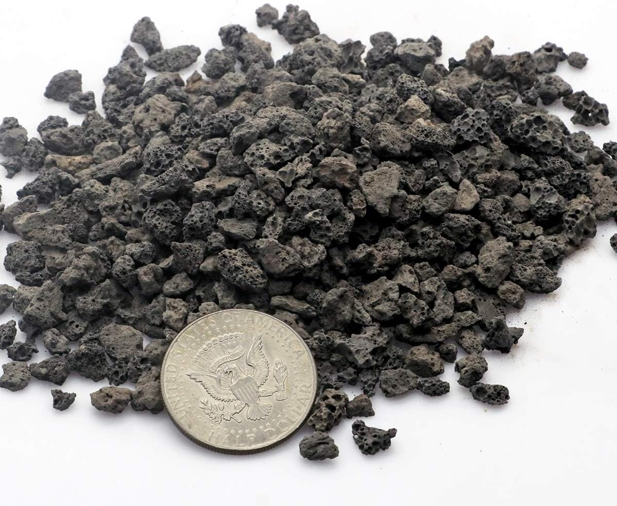 TOYPOPOR Black Horticultural Lava Rock Soil Additive for Cacti Succulents Plants No Dyes or Chemicals 100% Pure Volcanic Rock 2.2LB Top Dressing