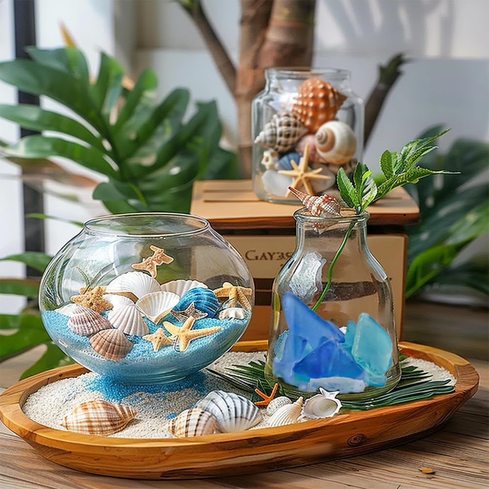 Natural Mixed Seashells Conch Starfish Sea Glass 1-2.8 Inch,16.5 OZ Bulk Ocean Beach Theme Party Decor for Coastal Crafts,Resin Arts, Aquarium Decor,Wedding Table Shells,Nautical Home Vase Fillers