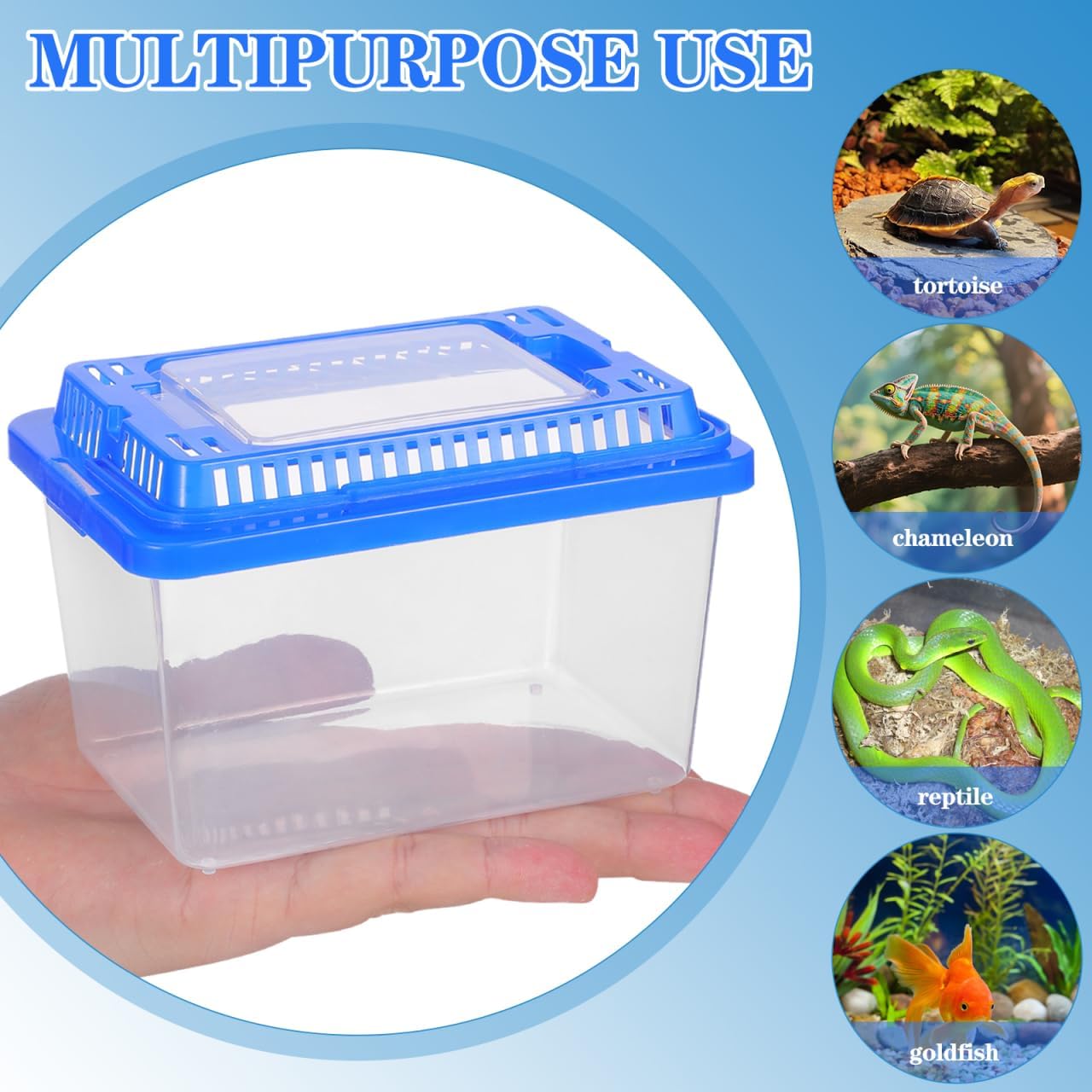 Gatuida Turtle Carrier Fish Tank Portable Clear Plastic Aquarium for Boy Girl for Reptiles and Turtles Spacious Design Lid for Safe Transport and Easy Handling