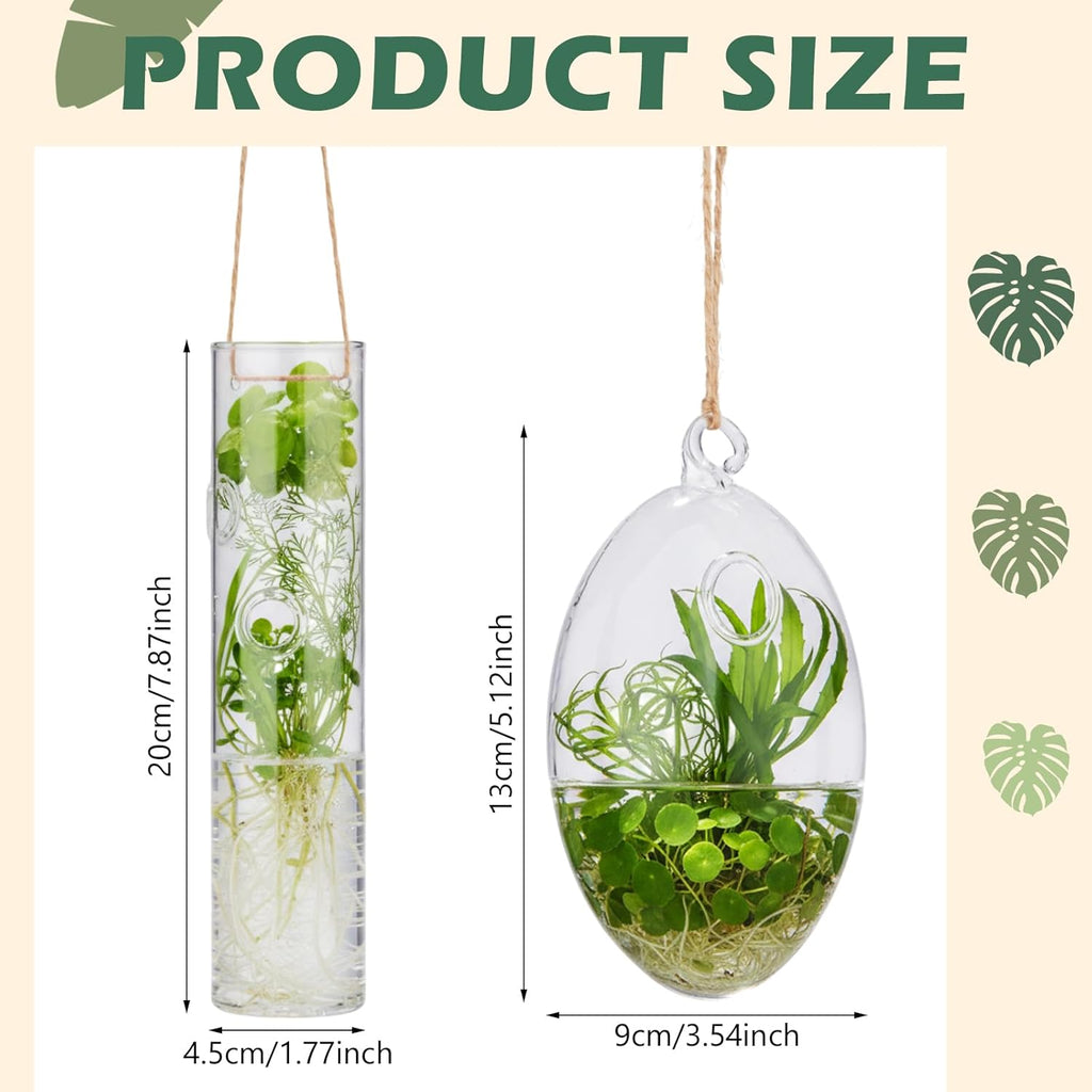 Zopeal 6 Sets Wall Hanging Glass Planter Greenhouse Terrarium Propagation Station Wall Vase Container Watering Squeeze Bottle with Rope and Hook for Hydroponic Plants Flower Home Decor (Elegant Style)