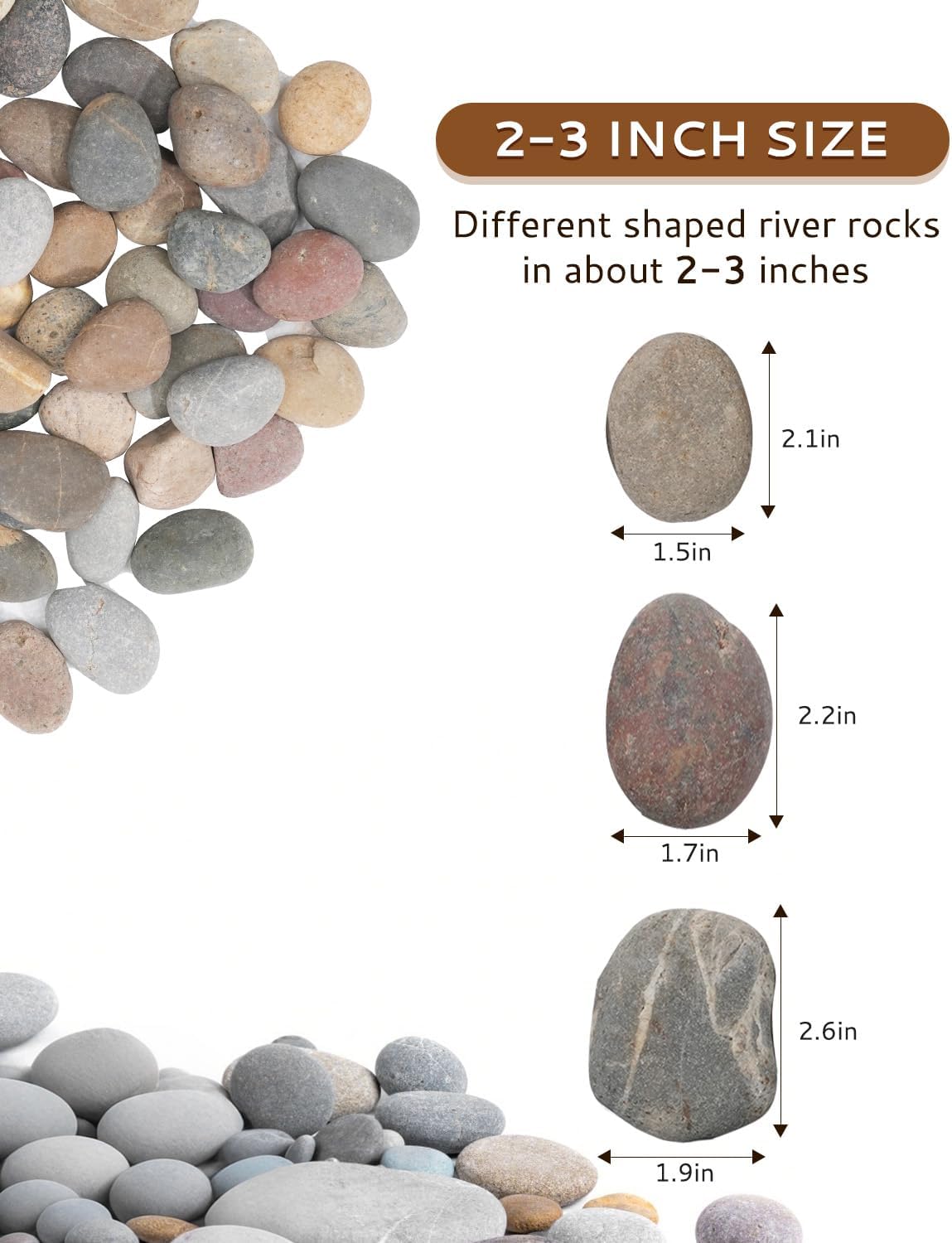 Natural River Rocks-5 lbs of Pebbles and River Stones,2-3 Inch Plant Rocks for Landscaping,Garden Paving,Crafting,Walkways,and Outdoor Decorative Stone,Mexican Beach River Rocks