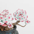 Galagaga Handcrafted Artificial Succulent Plant in Textured Ceramic Pot, Pink and Mint Green Clay Flowers, Maintenance-Free Home Decor (1, shape5)