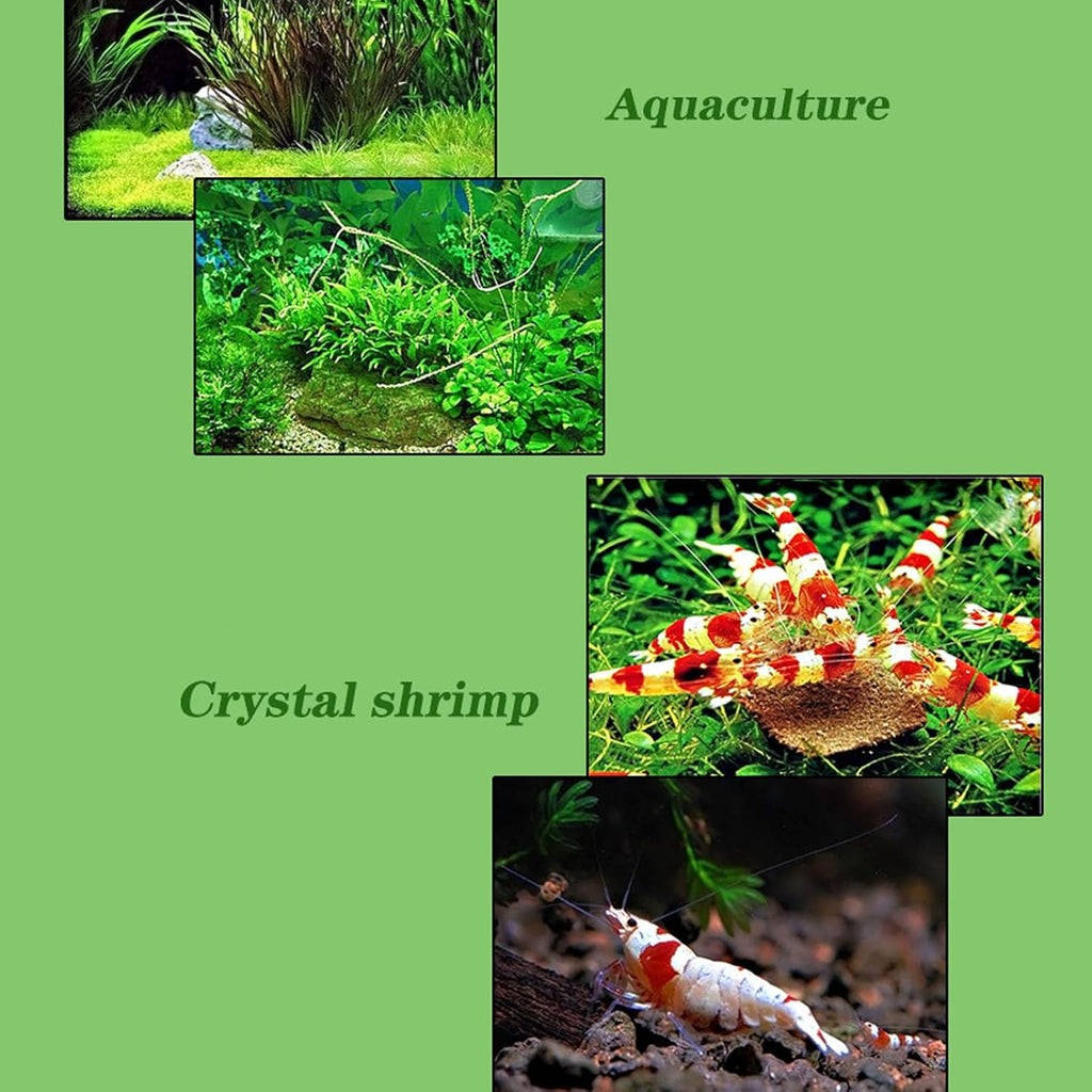 Tyenaza Aquarium Chiller, 20L Quiet Constant Temperature Adjustable Fish Tank Water Cooling Machine Aquarium Cooler