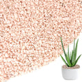 HappyFiller 2-5mm Light Pink Pea Gravel,Fairy Garden Mini Rocks,Terrarium Decor Pebble Stones,Succulent Caucts Planter Topper Dressing,Indoor Plants Granules,Aquarium Fish Tank,0.88 LB