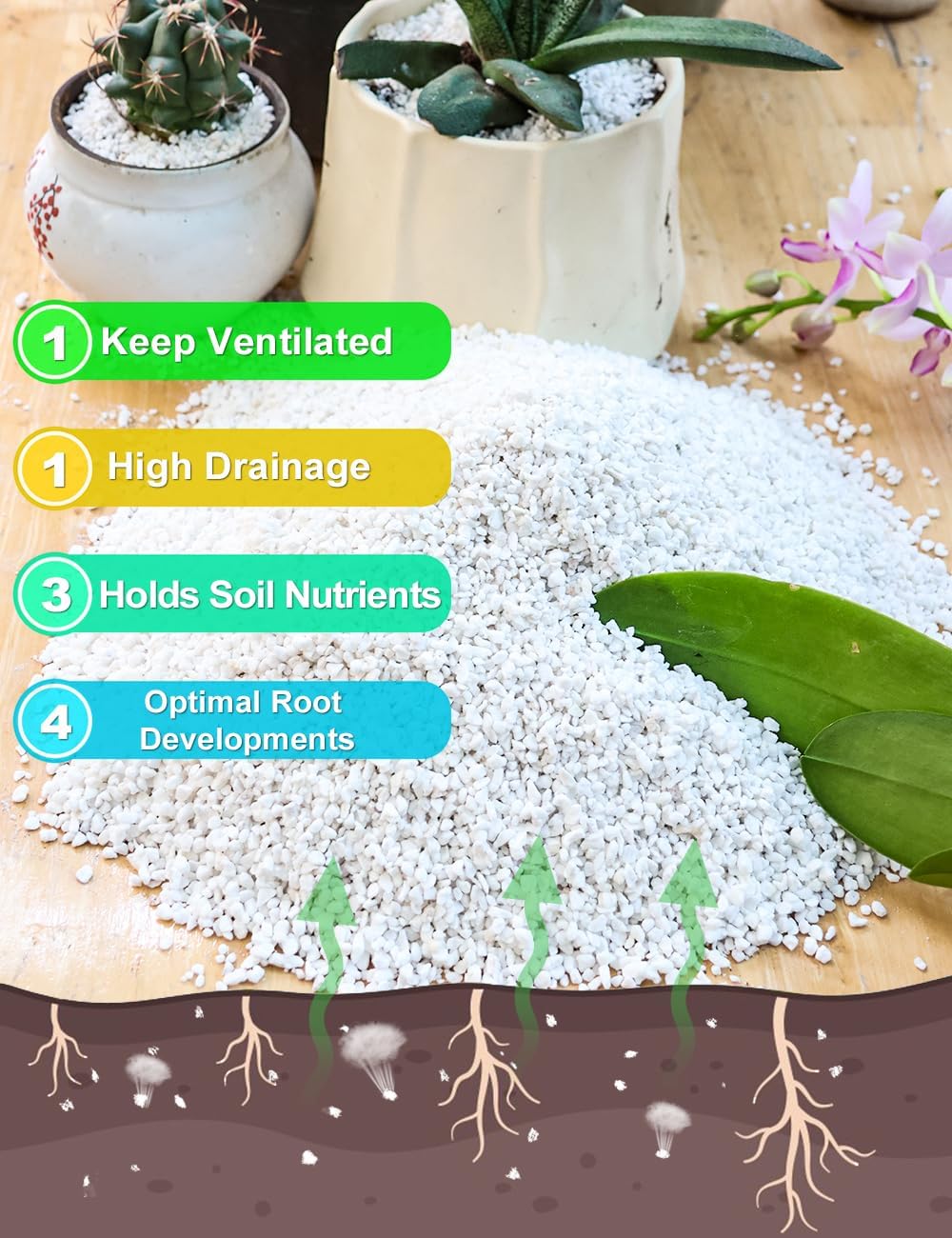 TOYPOPOR Perlite for Plants, 3-6mm Organic Perlite for Gardening, Perlite for Plants Indoor, Soil Additive Conditioner Mix Improve Drainage and Ventilation Promote Root Growth and Soil Health 1qt