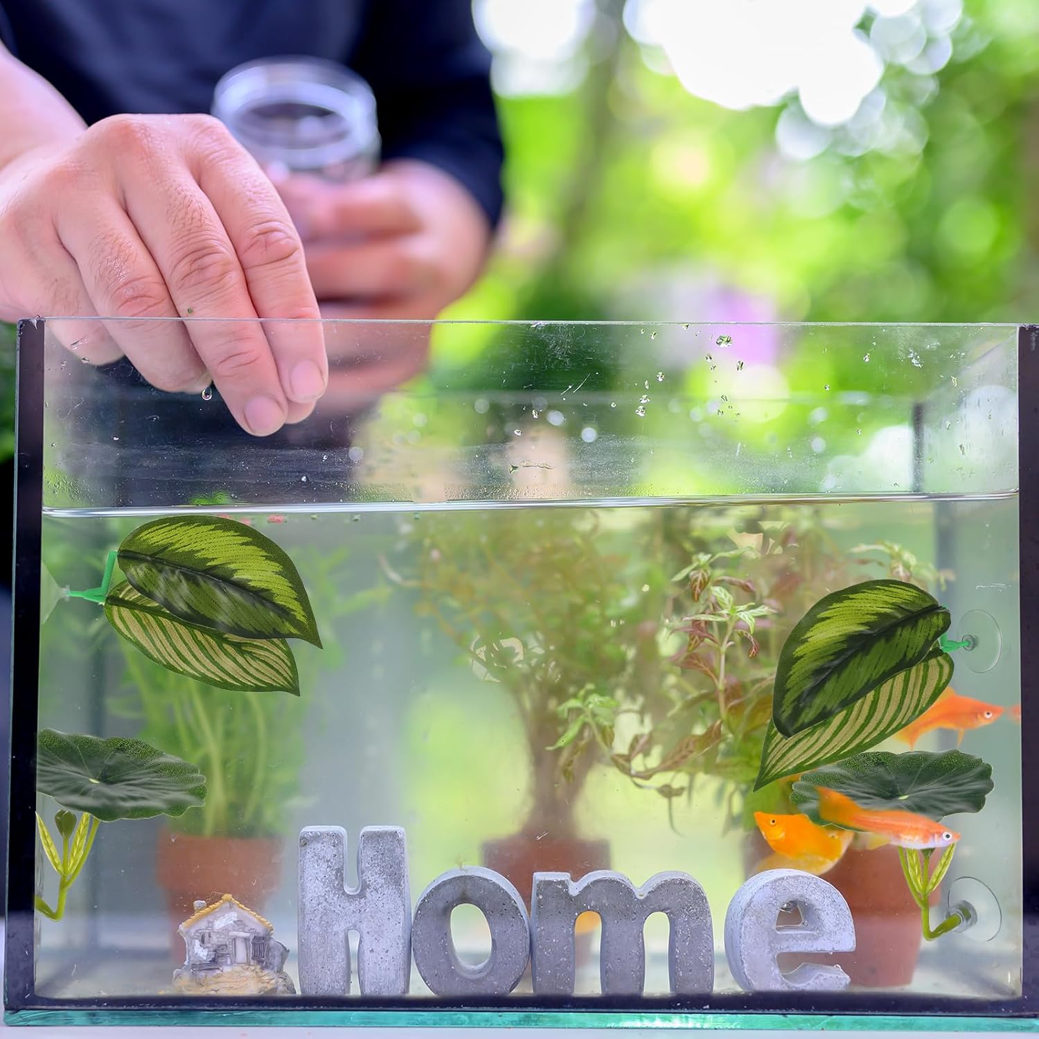 4 Pcs Betta Leaf Hammock Betta Fish Tank Decor Plastic Plants Practical Resting Spot Fish Leaf Pad Aquarium Decor for Sleeping Hiding Playing Breeding