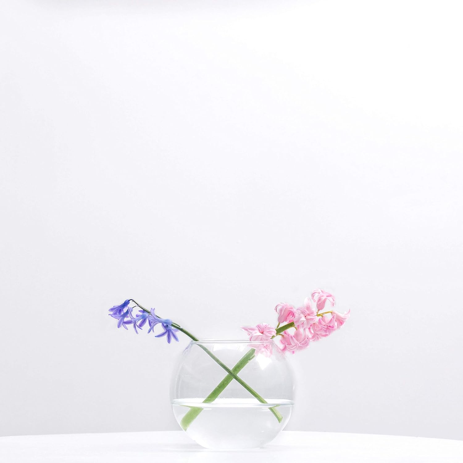 WGV Bowl Glass Vase Bulk, Diameter 6", Height 5", Open Width 4", (Multiple Sizes Choices) Clear Bubble Planter Terrarium Fish Bowl for Wedding Event Home Decor, 12 Pieces (VBW0006)