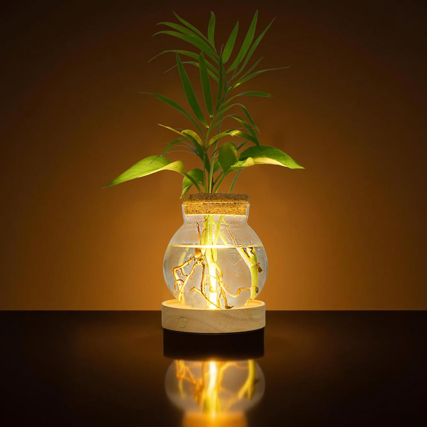 Plant Propagation Station with Wooden Saucer, Glass Terrarium with Stepless Dimming Function Hydroponic Glass Container Vase Jars Gardening Gifts for Mom Women Plant Lovers